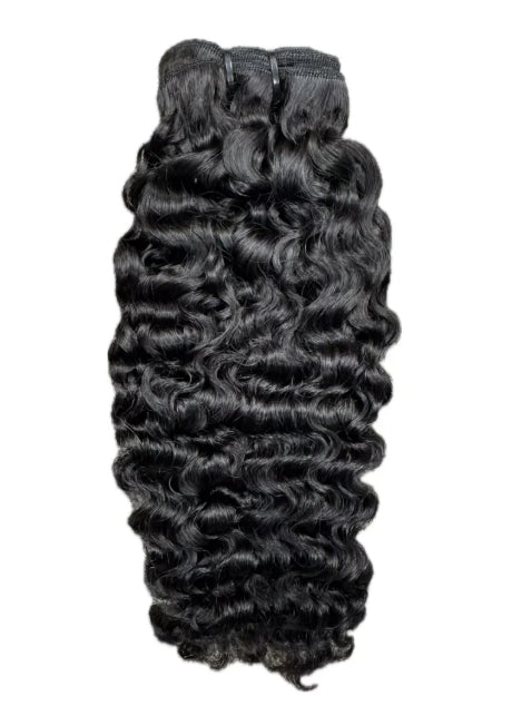 Burmese Curly
